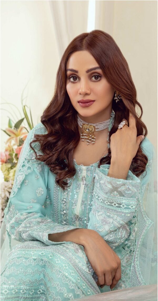 Embroidered Chiffon Ready To Wear - Image 3