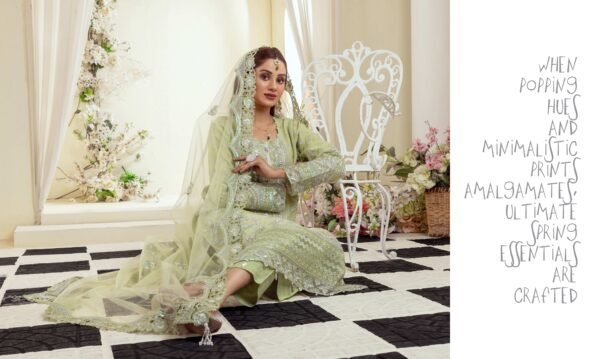 Embroidered Chiffon Ready To Wear - Image 4